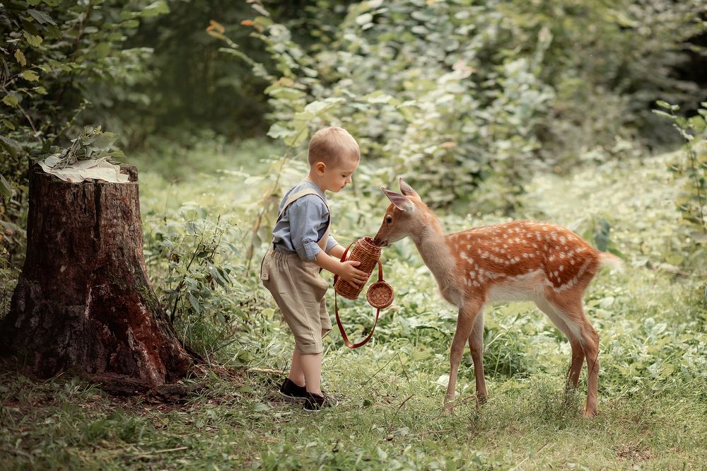 Photograph by Елена Шмакова