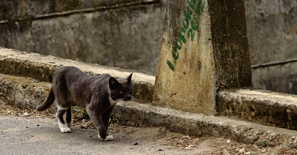 Photograph by Rodolfo Durán