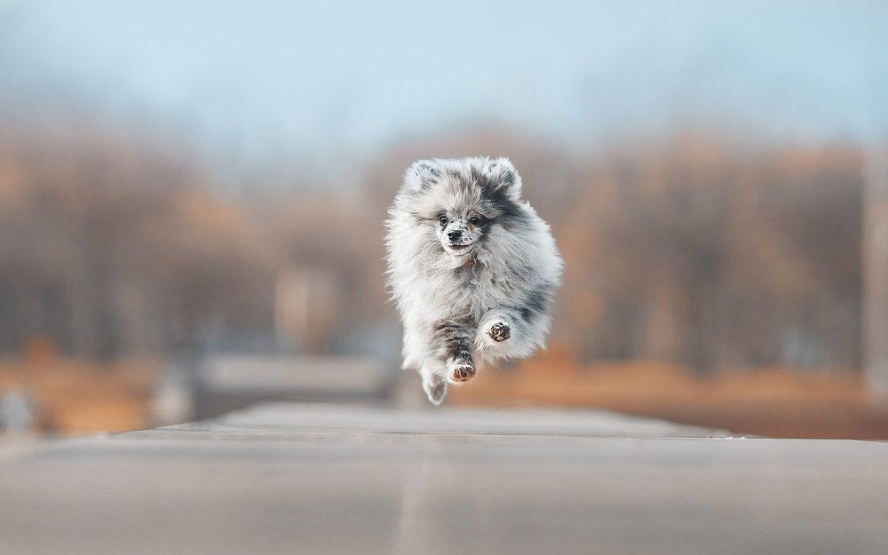 Photograph by Елизавета Романова