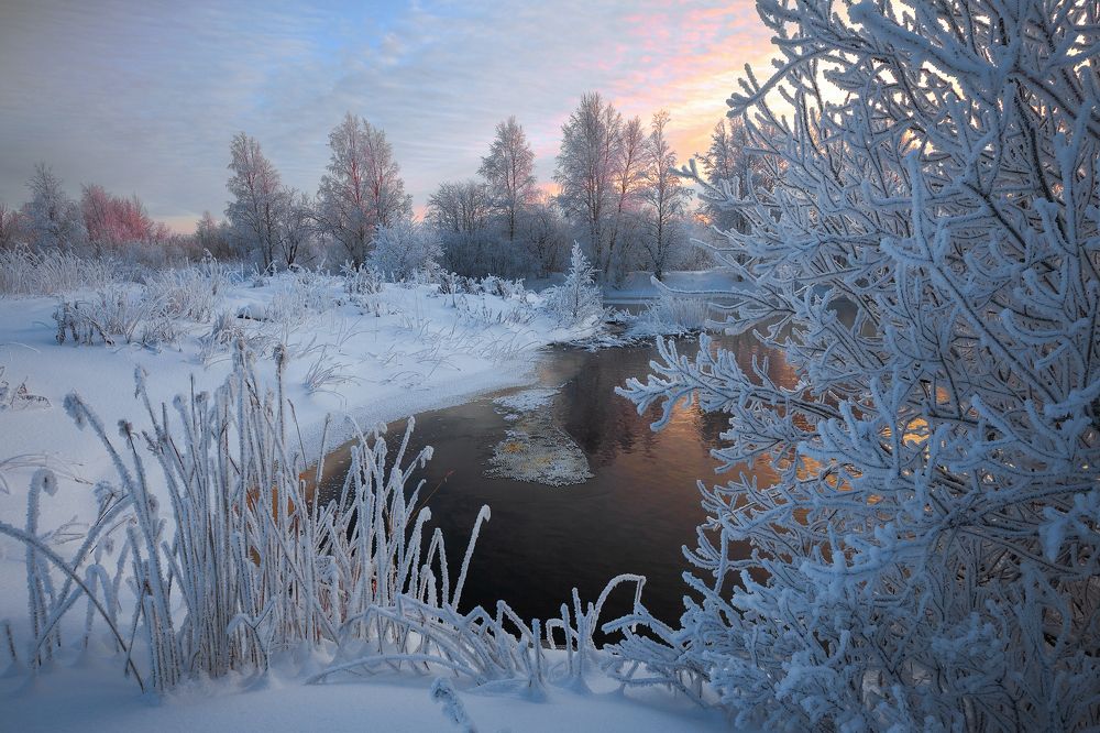 Photograph by Александр Кузнецов