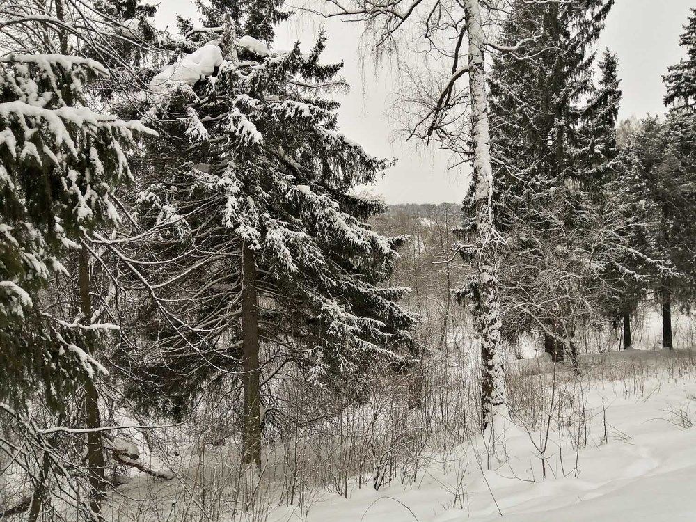 Подмосковье