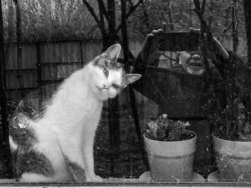 Photograph by Анатолий Мигов