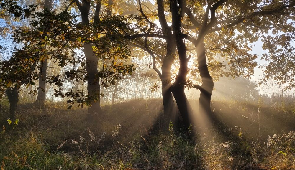 Photograph by Сергей Шляга