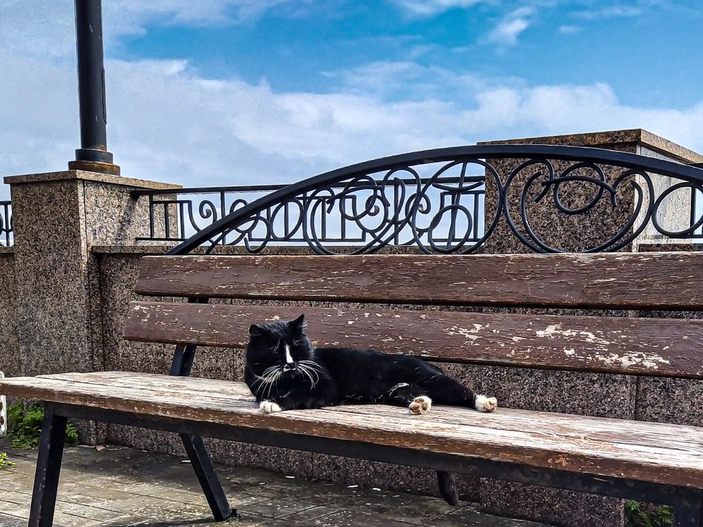 Photograph by Анатолий Мигов