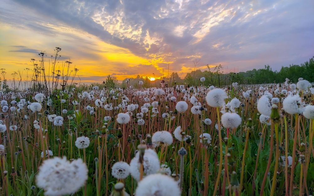 Photograph by Светлана Кондрашова