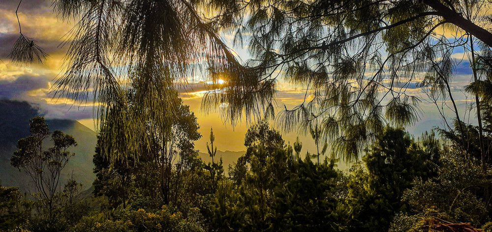 Фотография автора Segundo Antonio Carrasco Carrasco