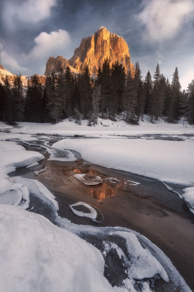 Photograph by Nicola Campanella