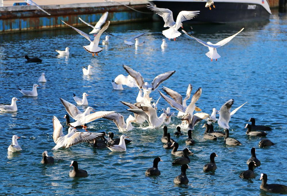 Photograph by Алексей Хазов