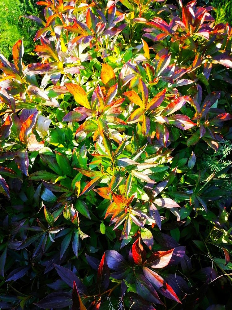 Photograph by Понкратов Иван