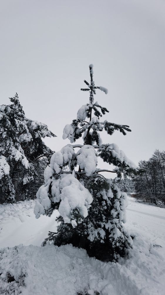 Photograph by Сафронов Александр