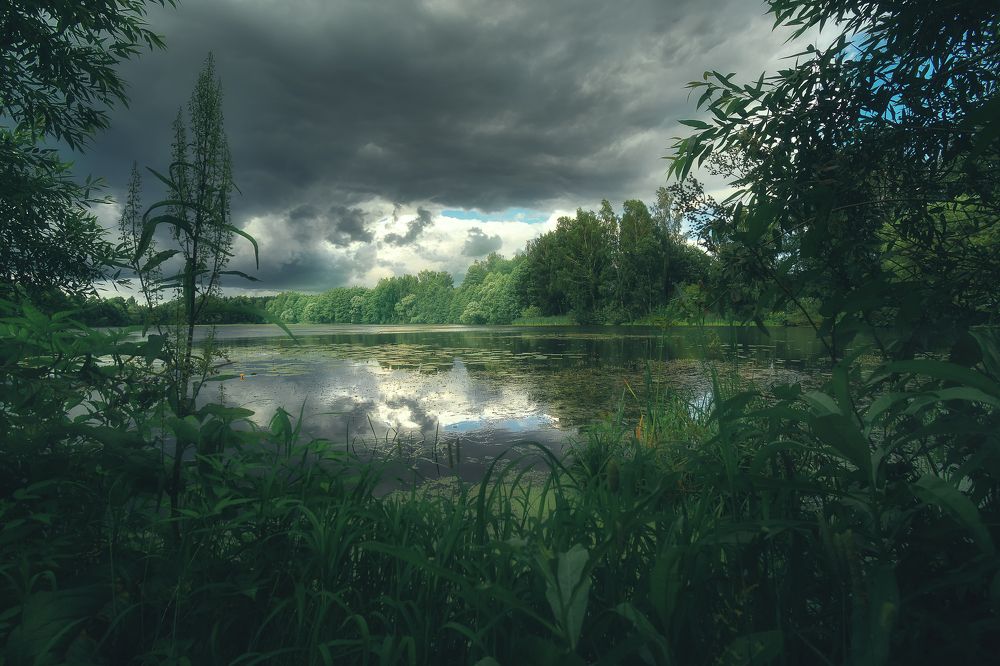 Photograph by Nikita Silyavin