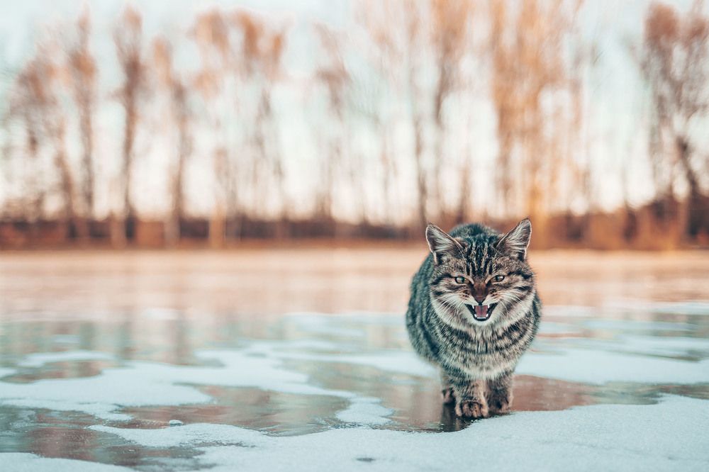 Photograph by Сергей Фадин