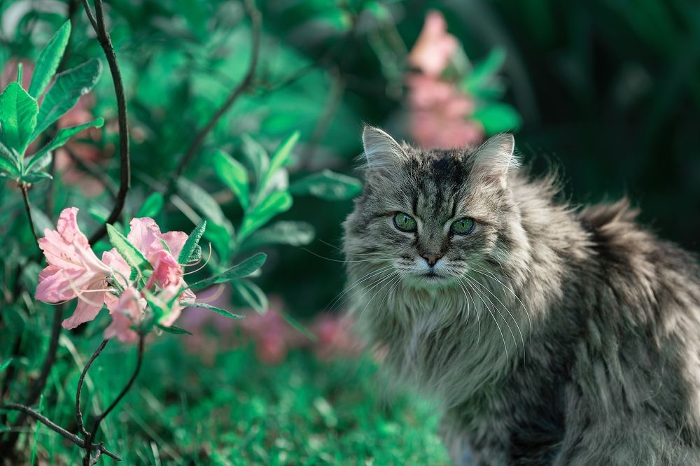 Фотография автора Наталья Дороднова