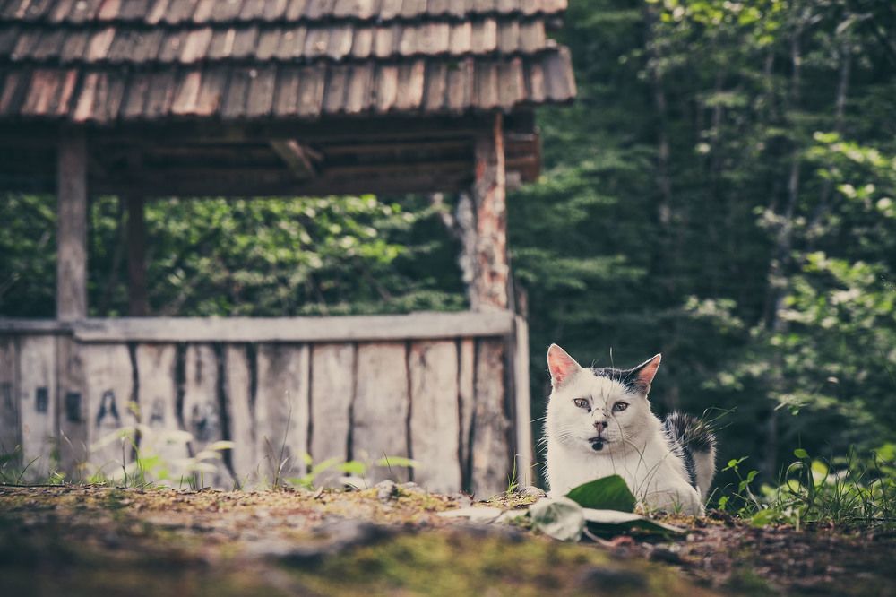 Photograph by Сергей Фадин