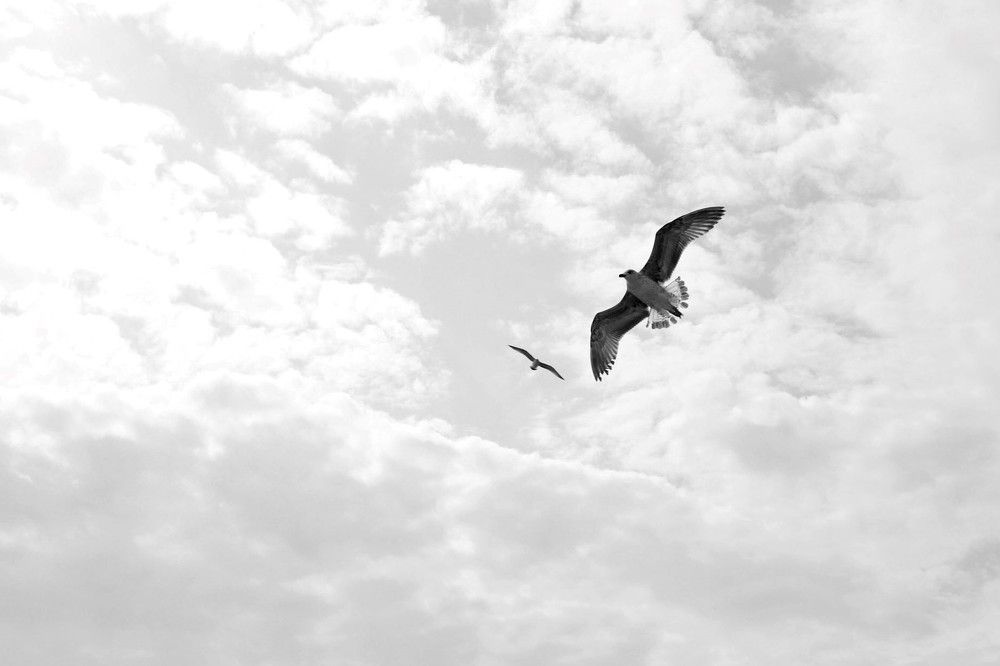 Photograph by Оксана Соколова