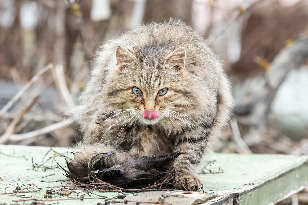 Photograph by Сергей Фадин