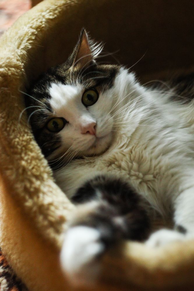 Photograph by Елена Квасова