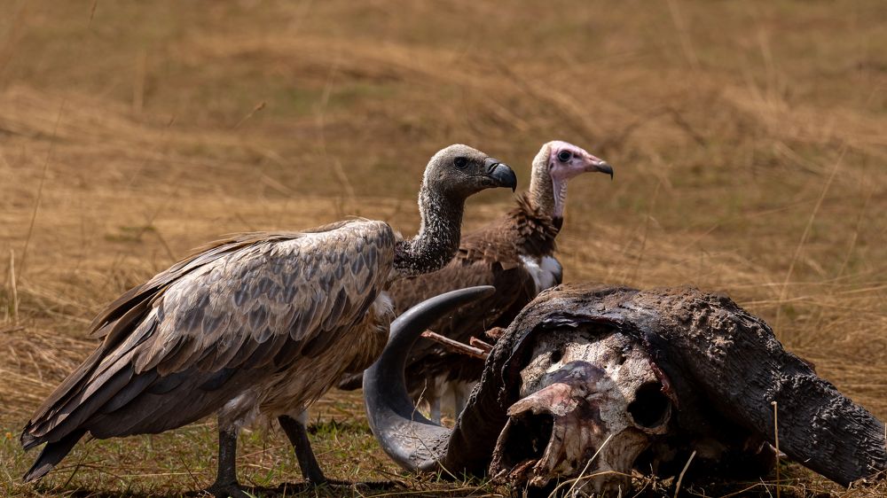 Photograph by Sunil Dhar
