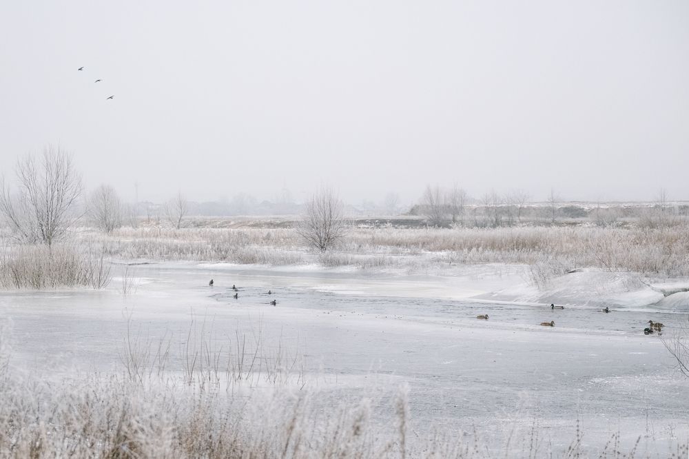 Photograph by Tatyana Baskakova