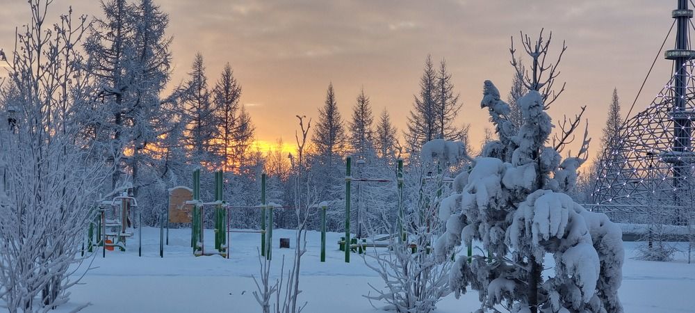 Фотография автора Елена Евтушенко