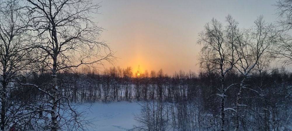 Фотография автора Елена Евтушенко