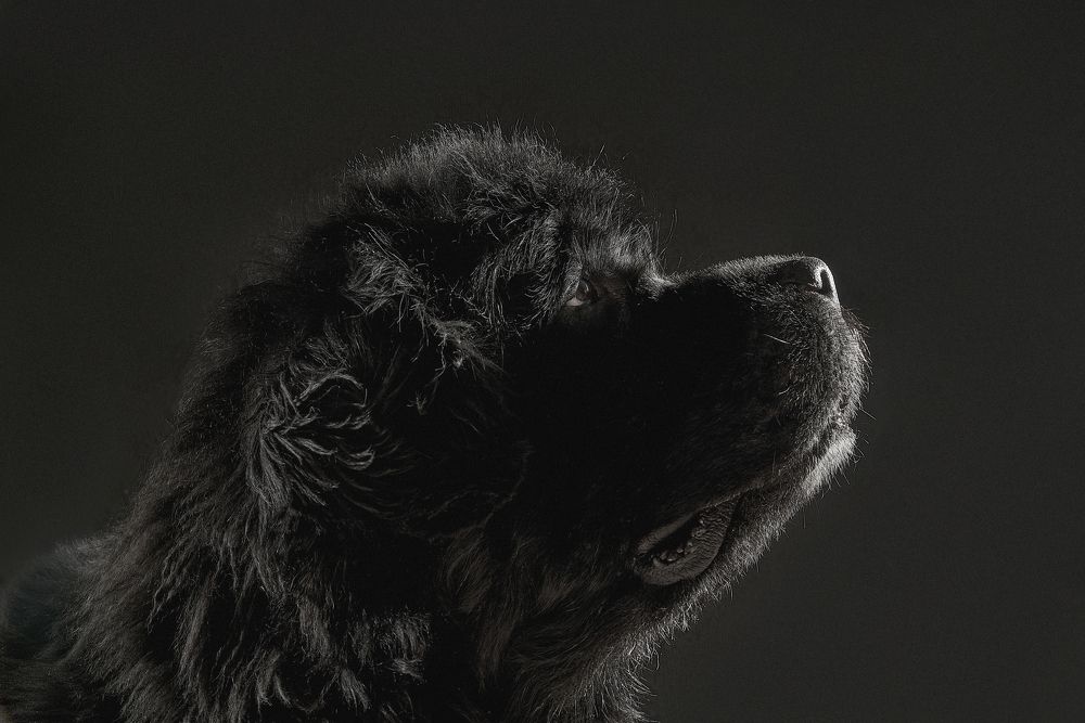 Photograph by Ксения Щербань