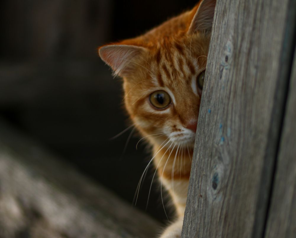 Photograph by Ольга