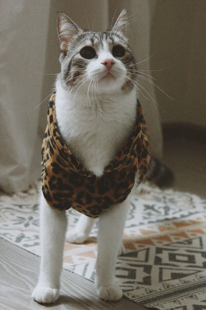 Photograph by Оксана Пидоря