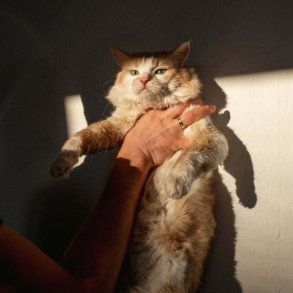 Photograph by Anna Janzen