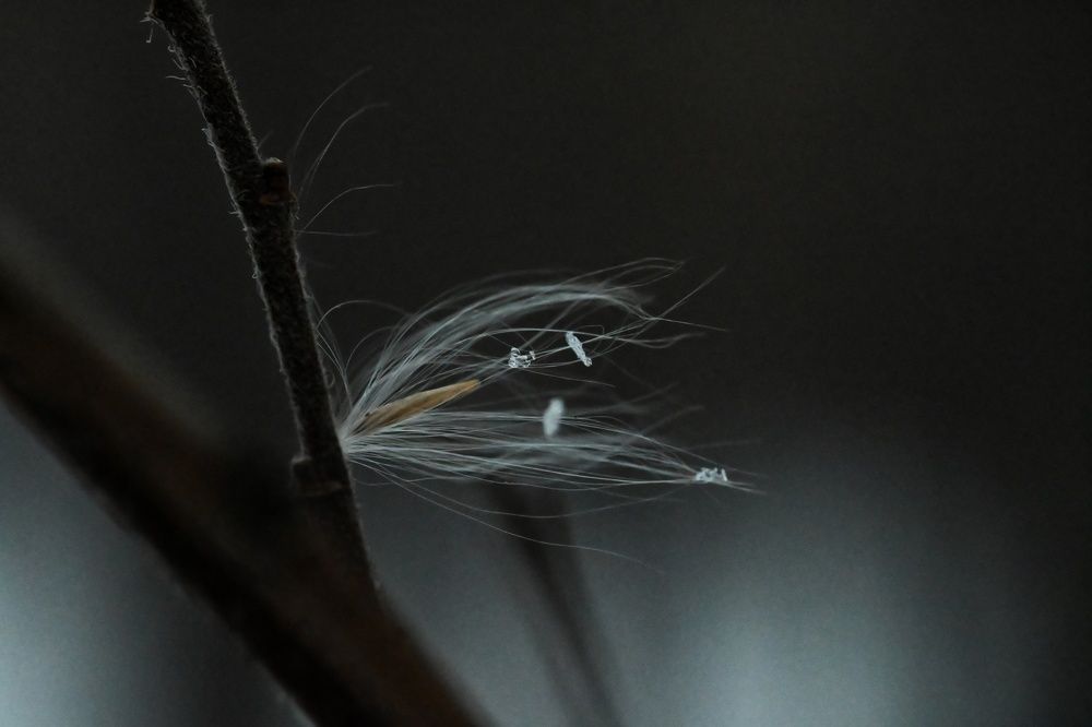 Фотография автора Ola La