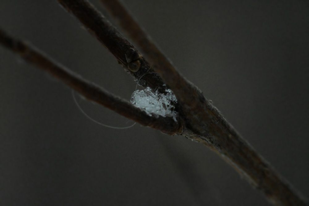 Фотография автора Ola La