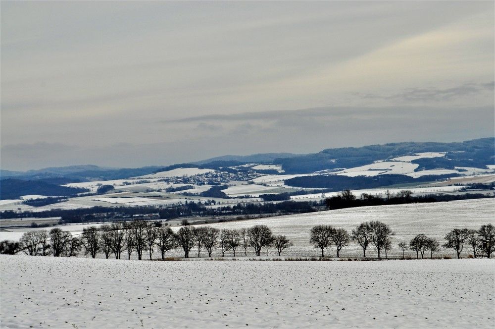 Photograph by Zdeňka Hudcová