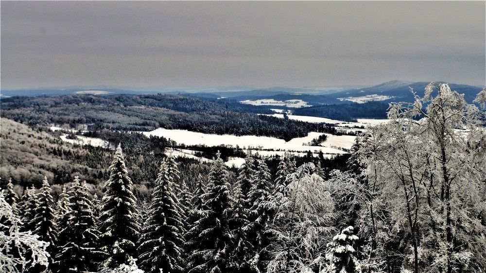 Photograph by Zdeňka Hudcová