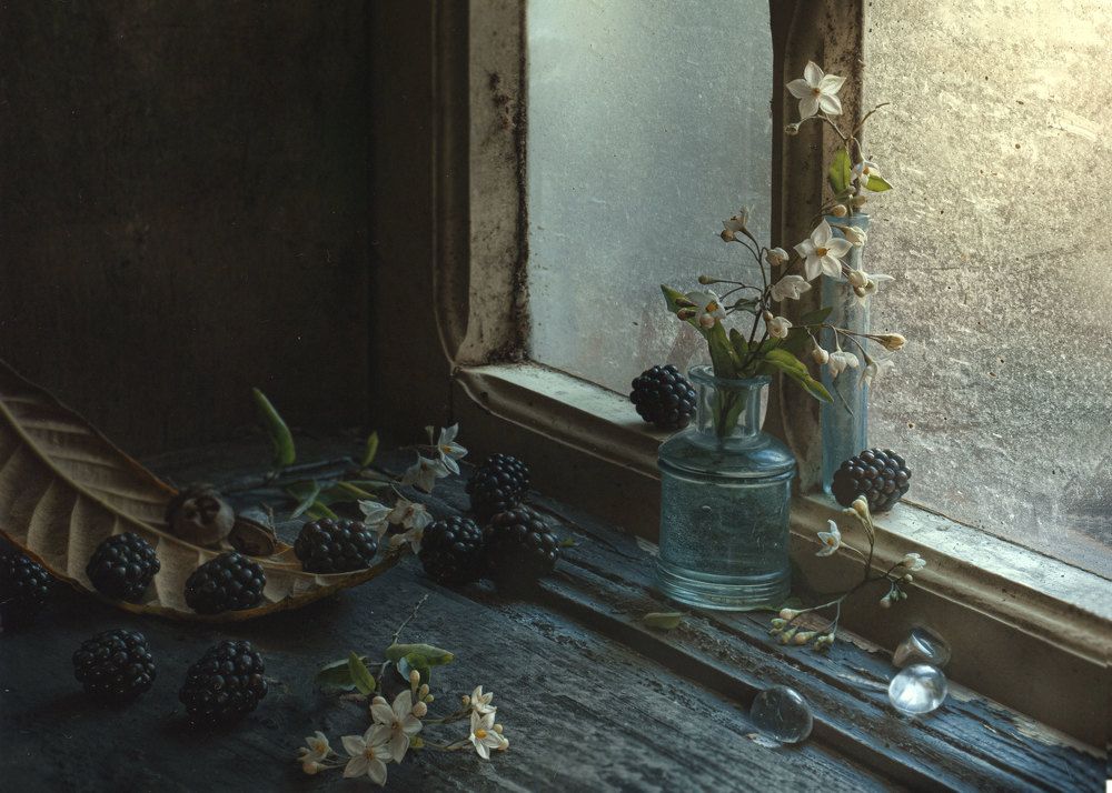 Photograph by Natalia Ricci