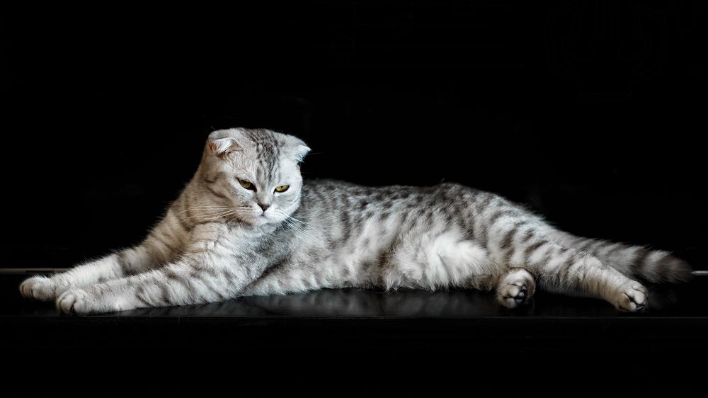 Photograph by Людмила Манохина