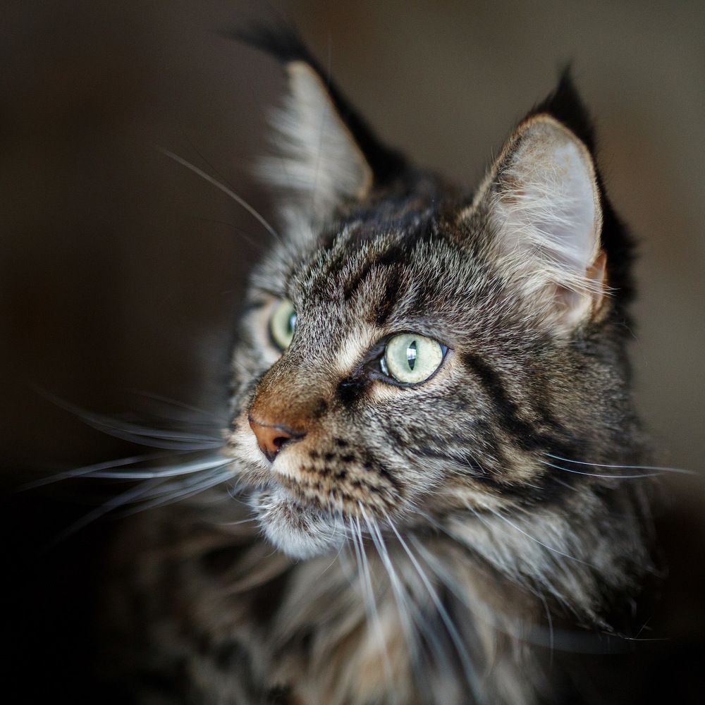 Photograph by Людмила Манохина