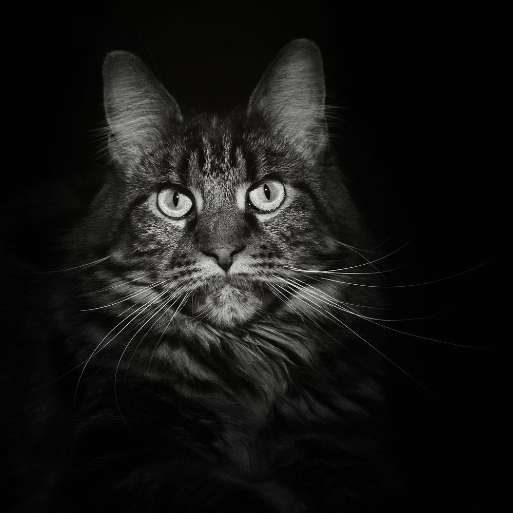 Photograph by Людмила Манохина