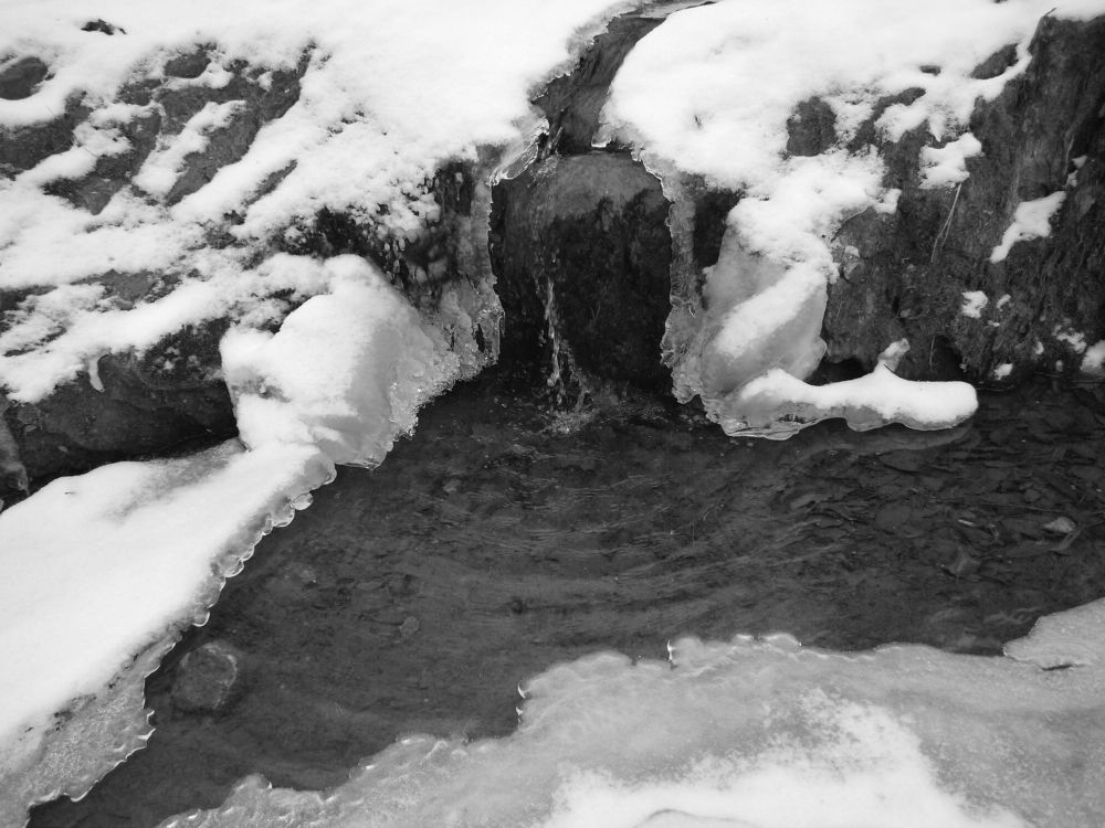 Photograph by Наталья Баженова