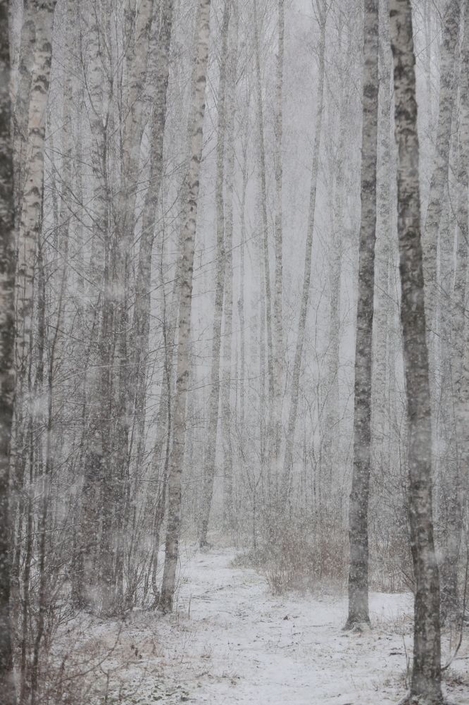 Photograph by Унку Юрий