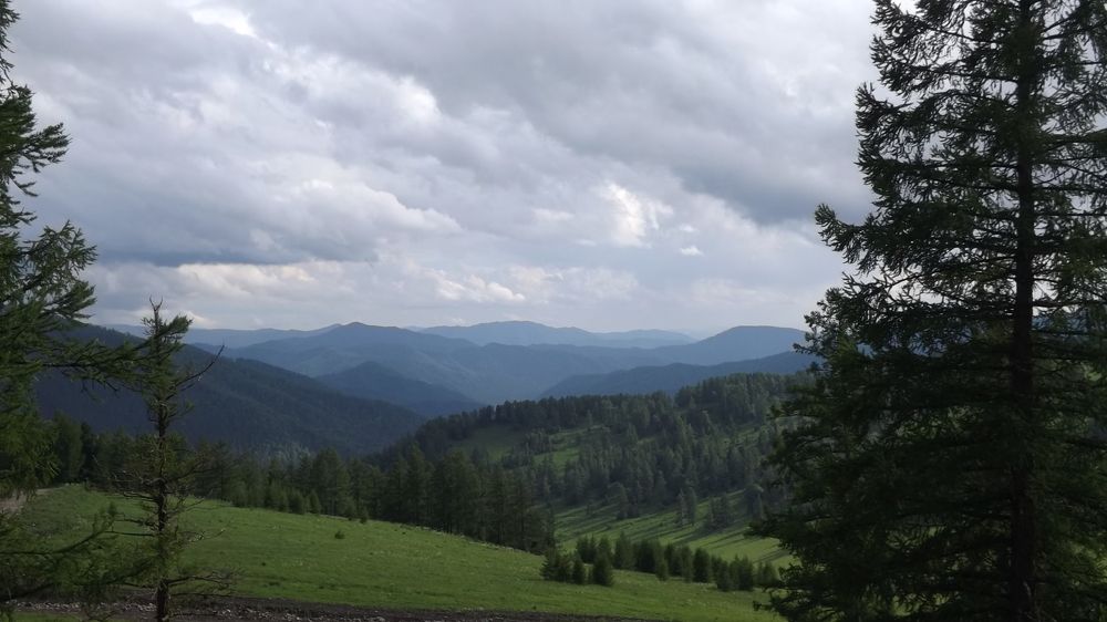 Photograph by Наталья БАЛАБАЕВА