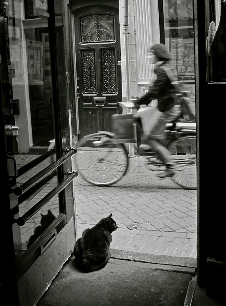 Photograph by Наталья Ростовская