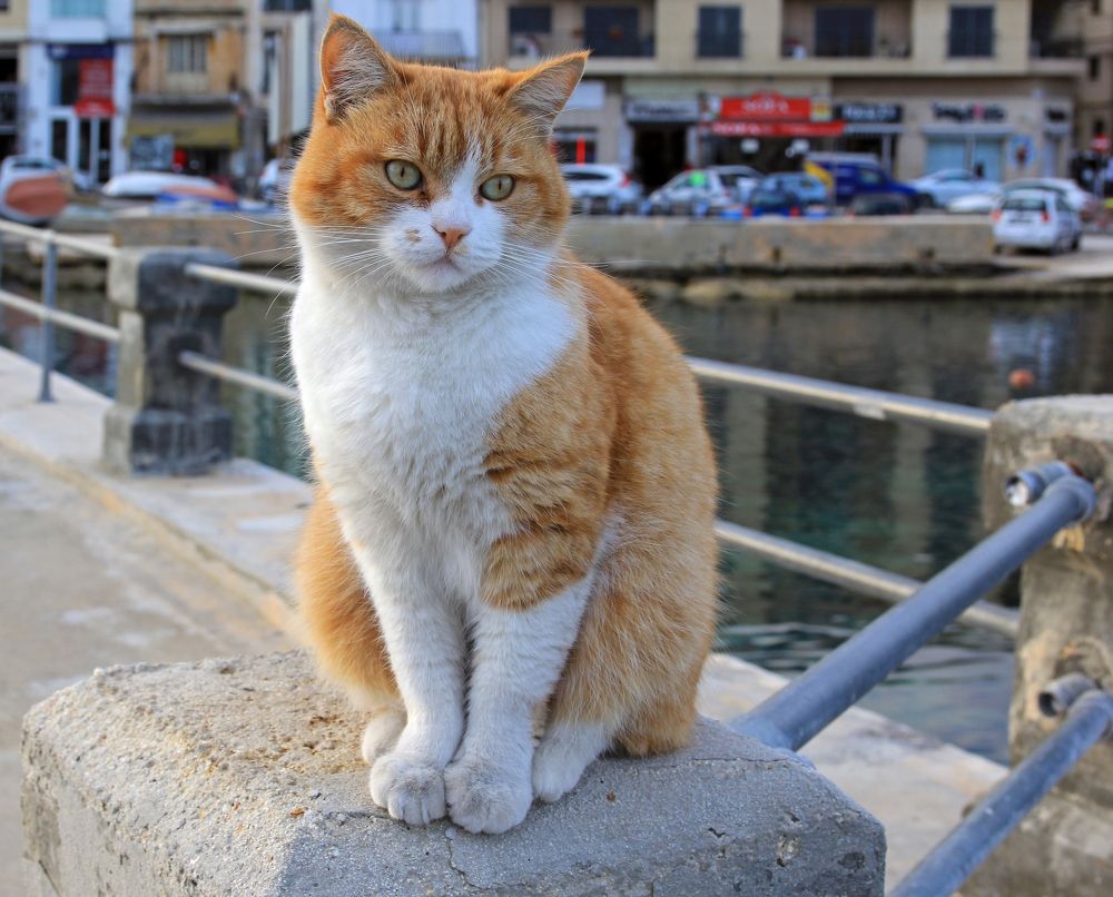 Photograph by Сергей Иванов