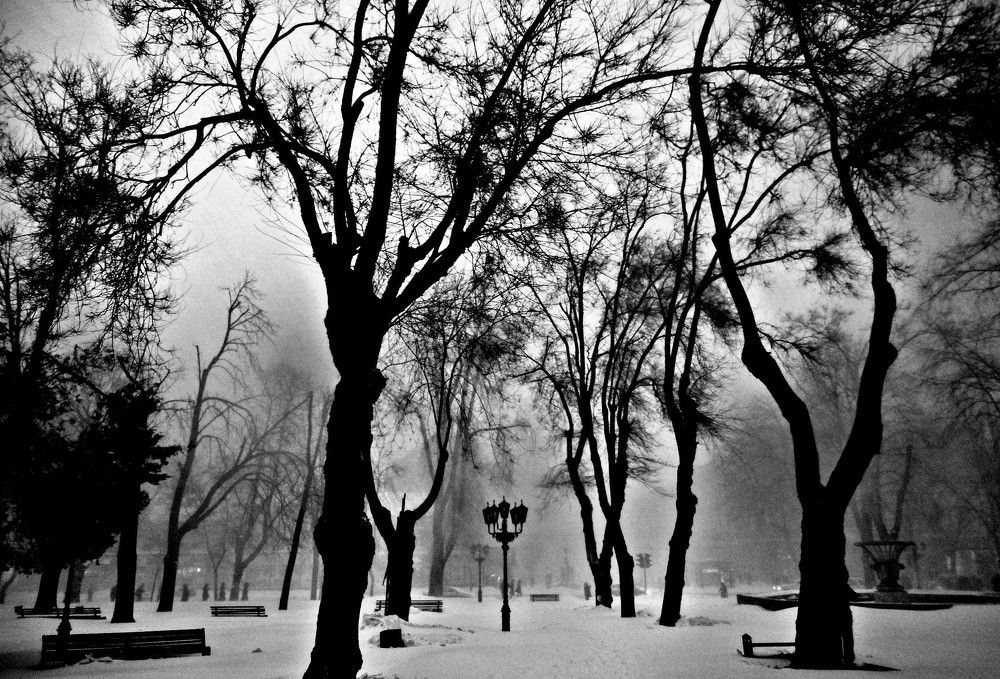 Photograph by Дмитрий Соколов