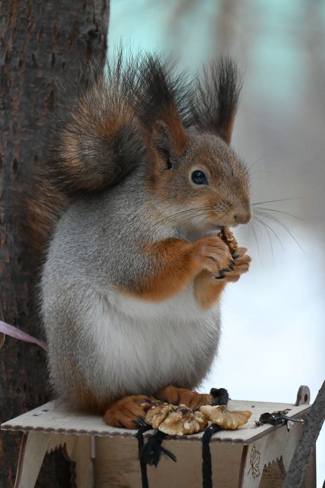 Фотография автора Ola La