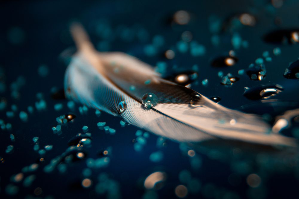 Photograph by Иван Шаромов