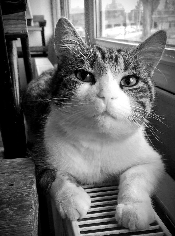 Photograph by Дмитрий Соколов