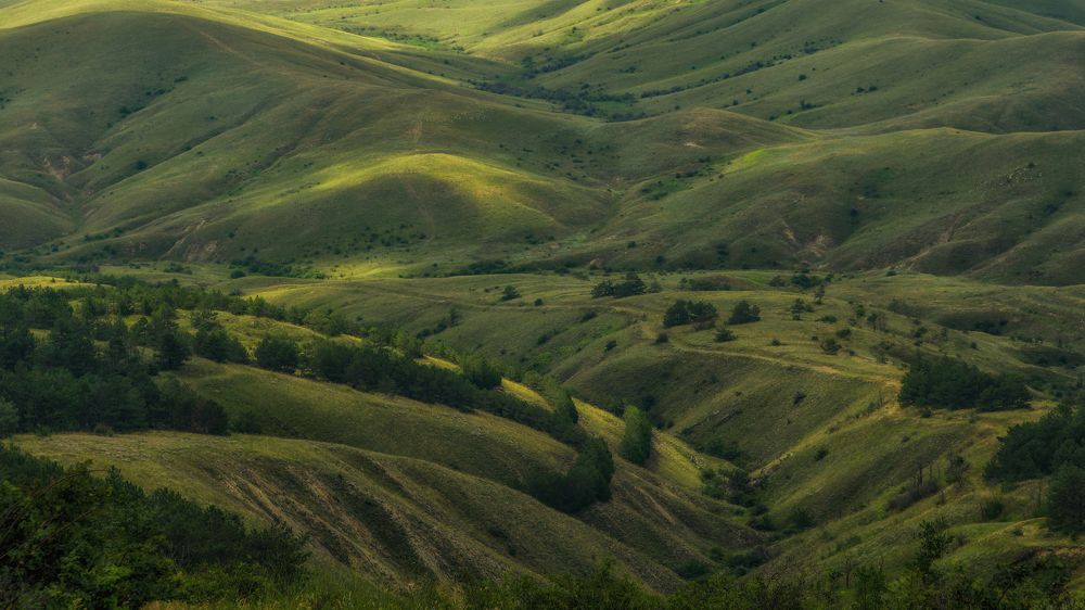 Фотография автора Александра Елагина