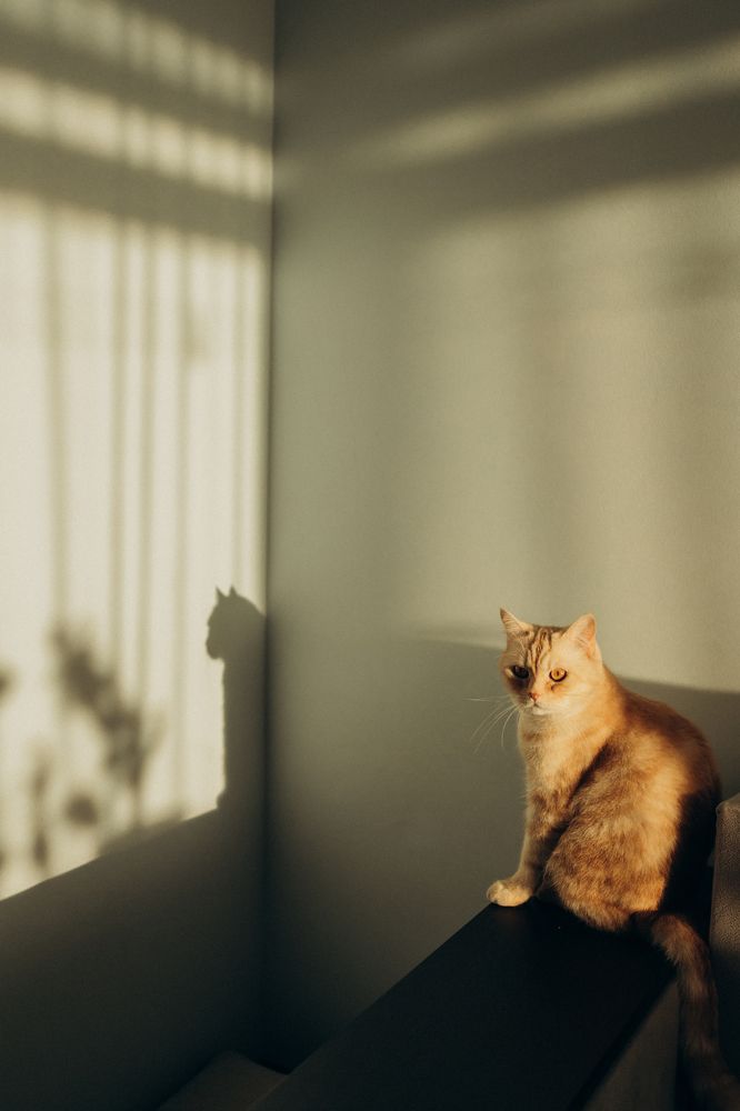 Photograph by Алеся Бутакова