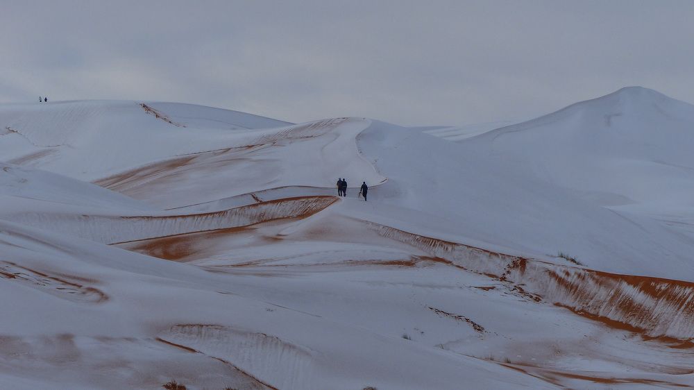 Photo #8744974