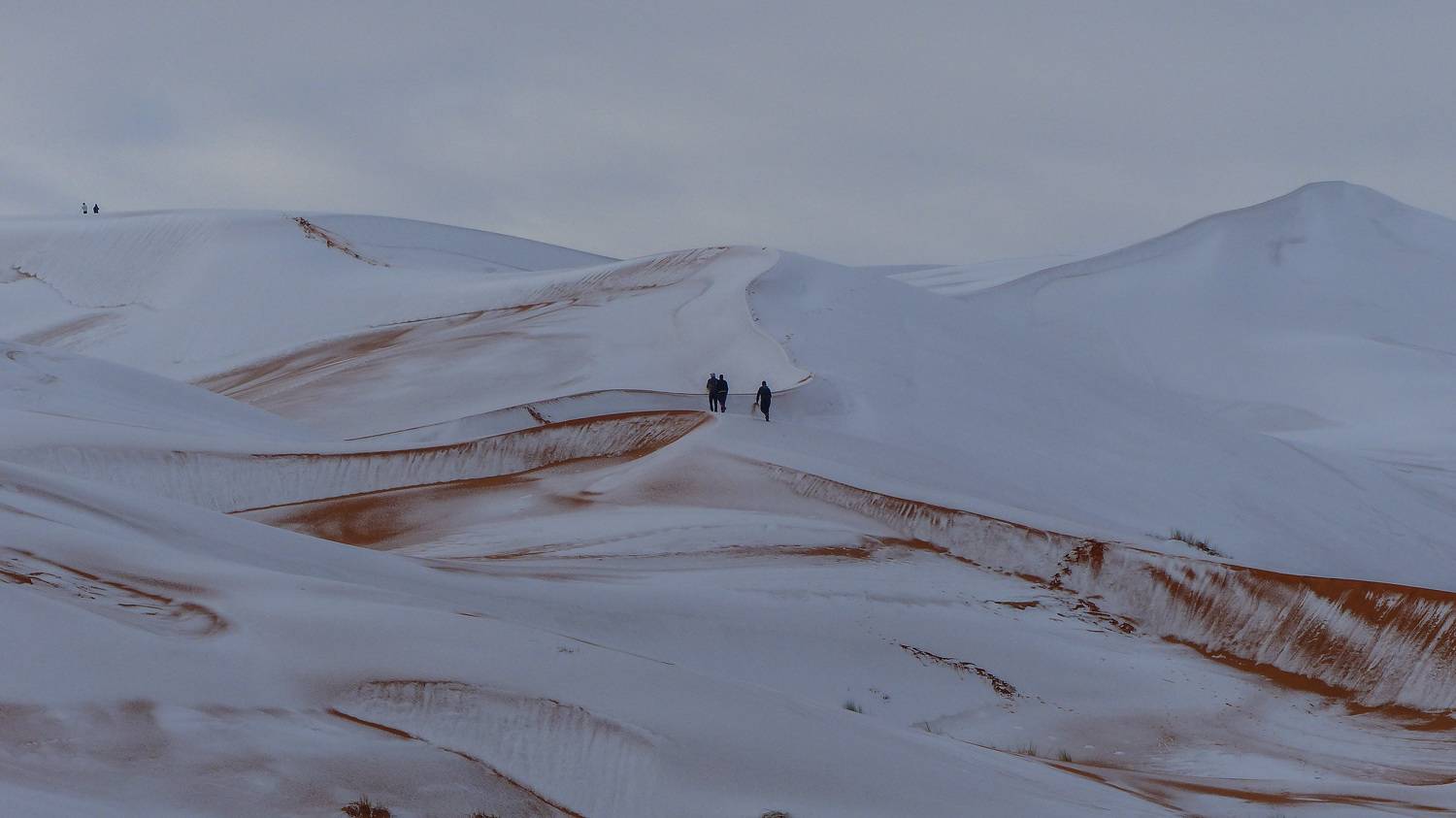 Photo #8744974